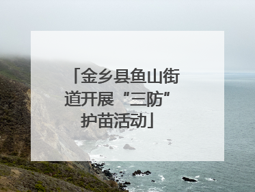 金乡县鱼山街道开展“三防”护苗活动