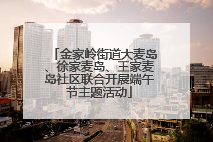 金家岭街道大麦岛、徐家麦岛、王家麦岛社区联合开展端午节主题活动