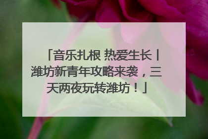 音乐扎根 热爱生长丨潍坊新青年攻略来袭，三天两夜玩转潍坊！