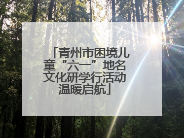 青州市困境儿童“六一”地名文化研学行活动温暖启航