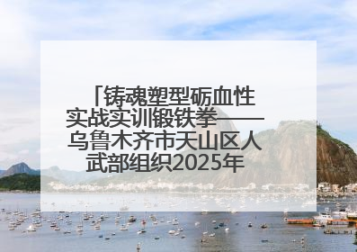 铸魂塑型砺血性 实战实训锻铁拳——乌鲁木齐市天山区人武部组织2025年度民兵集中轮训