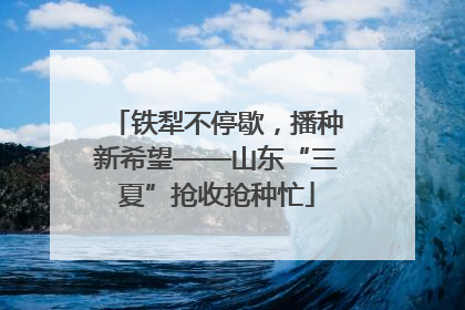 铁犁不停歇，播种新希望——山东“三夏”抢收抢种忙