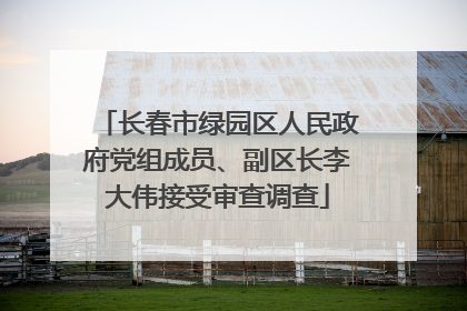 长春市绿园区人民政府党组成员、副区长李大伟接受审查调查