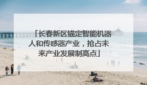 长春新区锚定智能机器人和传感器产业，抢占未来产业发展制高点
