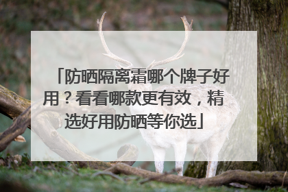 防晒隔离霜哪个牌子好用？看看哪款更有效，精选好用防晒等你选