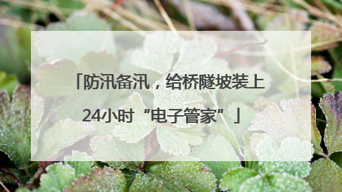 防汛备汛，给桥隧坡装上24小时“电子管家”