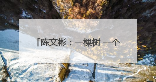 陈文彬：一棵树 一个庄 一块碑 一位英雄