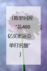 陈梦回应“花400亿买奥运会单打名额”