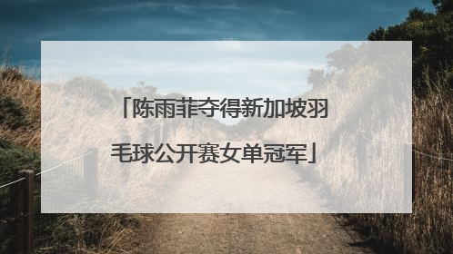 陈雨菲夺得新加坡羽毛球公开赛女单冠军