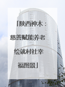 陕西神木：慈善赋能养老 绘就村社幸福图景