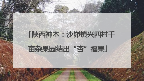 陕西神木：沙峁镇兴四村千亩杂果园结出“杏”福果