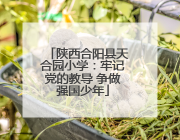 陕西合阳县天合园小学：牢记党的教导 争做强国少年