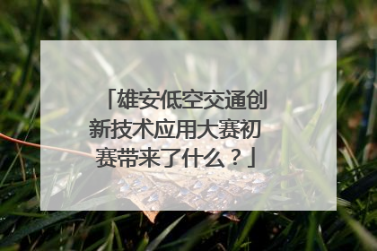 雄安低空交通创新技术应用大赛初赛带来了什么？