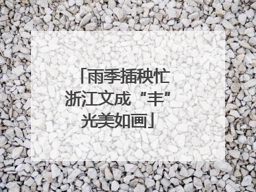 雨季插秧忙 浙江文成“丰”光美如画
