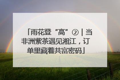 雨花登“高”②｜当非洲紫茶遇见湘江，订单里藏着共富密码