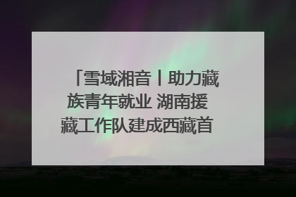 雪域湘音丨助力藏族青年就业 湖南援藏工作队建成西藏首个清洁能源装备园