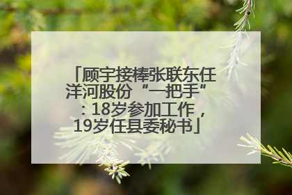 顾宇接棒张联东任洋河股份“一把手”：18岁参加工作，19岁任县委秘书