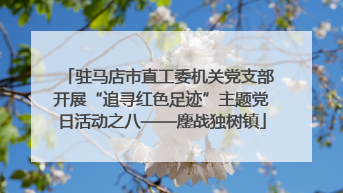 驻马店市直工委机关党支部开展“追寻红色足迹”主题党日活动之八——鏖战独树镇