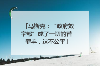 马斯克：“政府效率部”成了一切的替罪羊，这不公平