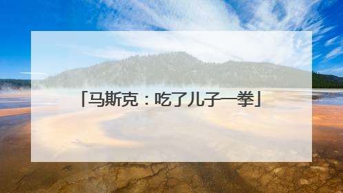 马斯克：吃了儿子一拳