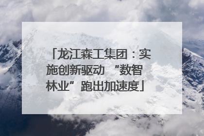 龙江森工集团：实施创新驱动 “数智林业”跑出加速度