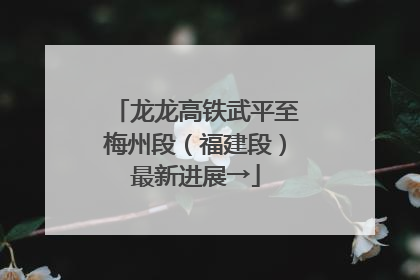 龙龙高铁武平至梅州段（福建段）最新进展→
