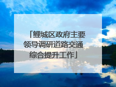 鲤城区政府主要领导调研道路交通综合提升工作