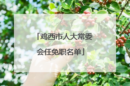 鸡西市人大常委会任免职名单