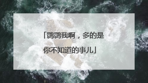 鹮鹮我啊，多的是你不知道的事儿