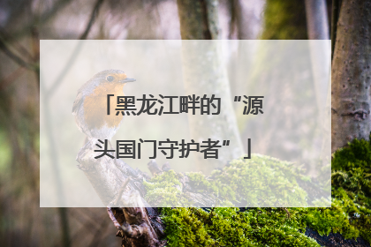黑龙江畔的“源头国门守护者”