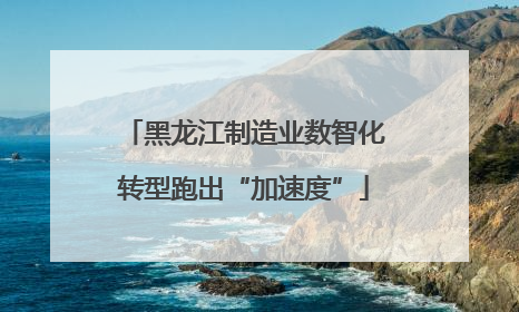黑龙江制造业数智化转型跑出“加速度”