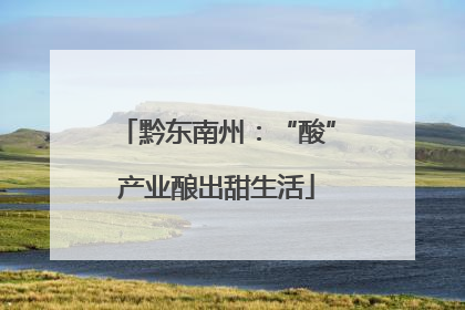 黔东南州：“酸”产业酿出甜生活
