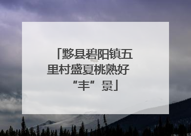 黟县碧阳镇五里村盛夏桃熟好“丰”景
