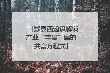 黟县西递镇解锁产业“丰景”里的共富方程式