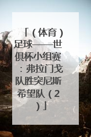 （体育）足球——世俱杯小组赛：弗拉门戈队胜突尼斯希望队（2）