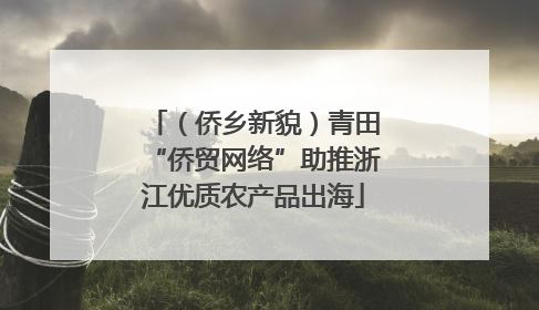 （侨乡新貌）青田“侨贸网络”助推浙江优质农产品出海