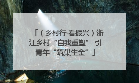 （乡村行·看振兴）浙江乡村“自我重塑” 引青年“筑巢生金”