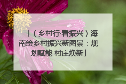 （乡村行·看振兴）海南绘乡村振兴新图景：规划赋能 村庄焕新