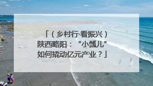 （乡村行·看振兴）陕西略阳：“小瓢儿”如何撬动亿元产业？
