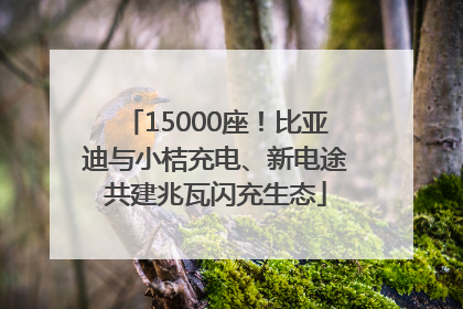 15000座！比亚迪与小桔充电、新电途共建兆瓦闪充生态