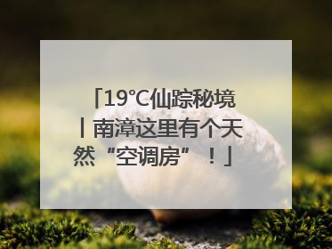19℃仙踪秘境丨南漳这里有个天然“空调房”！