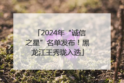 2024年“诚信之星”名单发布！黑龙江王秀珑入选