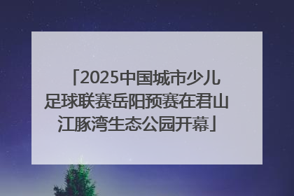 2025中国城市少儿足球联赛岳阳预赛在君山江豚湾生态公园开幕