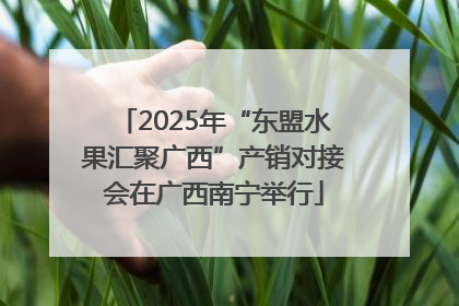 2025年“东盟水果汇聚广西”产销对接会在广西南宁举行