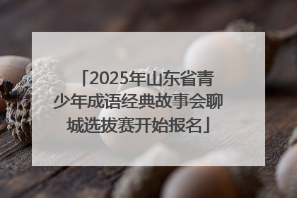 2025年山东省青少年成语经典故事会聊城选拔赛开始报名