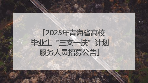 2025年青海省高校毕业生“三支一扶”计划服务人员招募公告