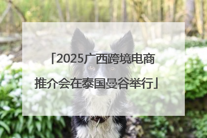 2025广西跨境电商推介会在泰国曼谷举行