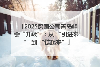 2025跨国公司青岛峰会“升级”：从 “引进来” 到 “链起来”