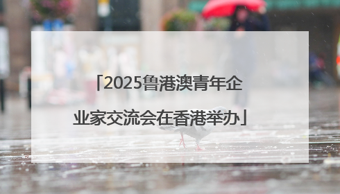 2025鲁港澳青年企业家交流会在香港举办