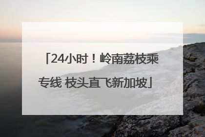 24小时！岭南荔枝乘专线 枝头直飞新加坡